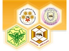 صناعة النحل في المملكة العربية السعودية